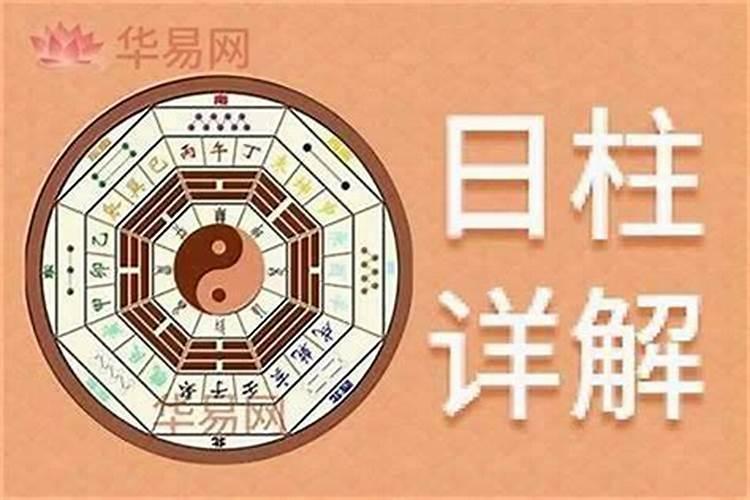 男马女狗八字合吗？