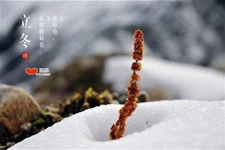 立冬要注意哪些？