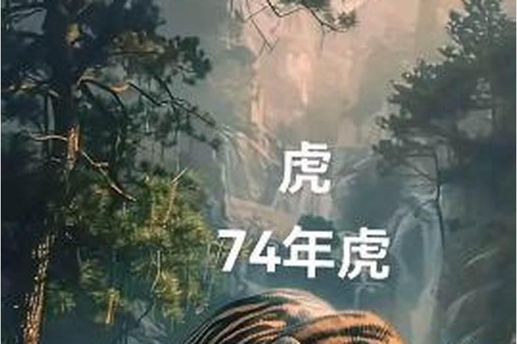 属虎阴历七月初十生一生运势