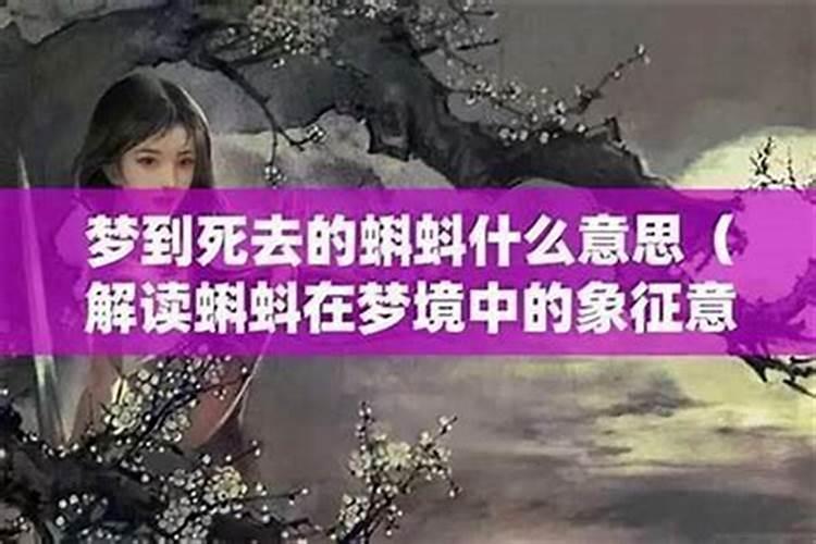 梦见表妹死了又活了是什么兆头？