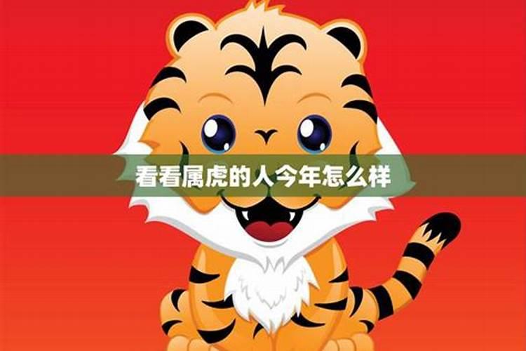 戊寅年属虎人明年运势怎么样？