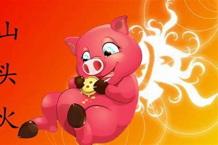 1995腊月猪是什么命？