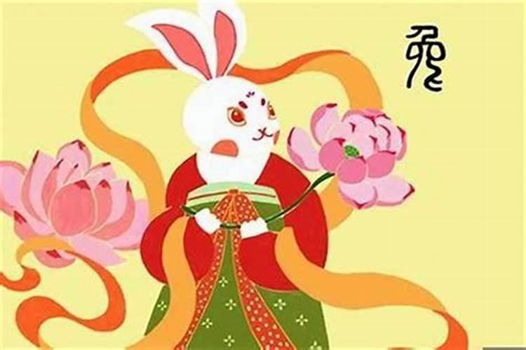 87兔子今年运势如何？