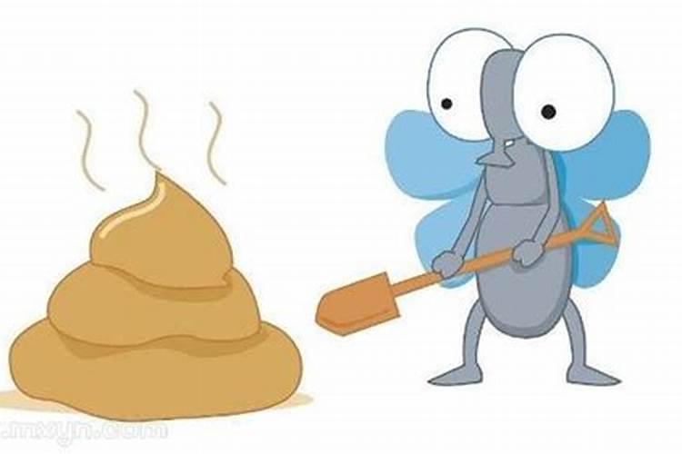 梦见很多大便是什么意思？