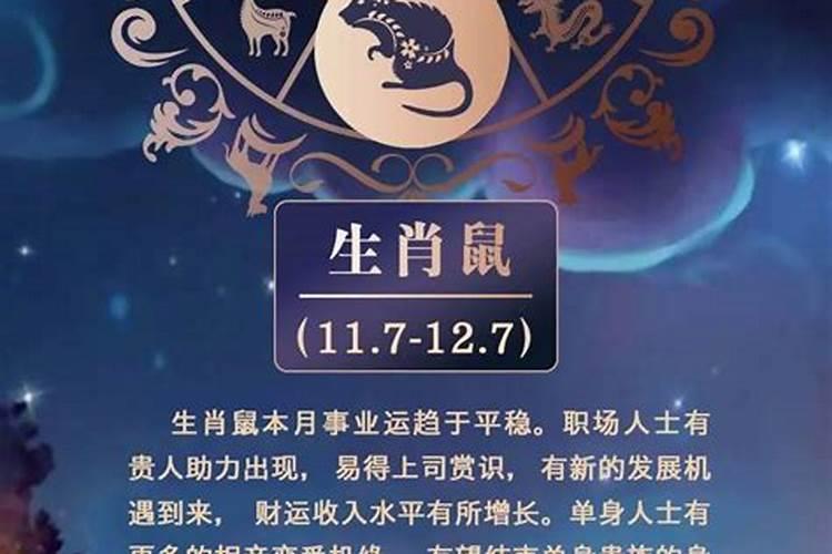 属鼠人十月生运程好吗？