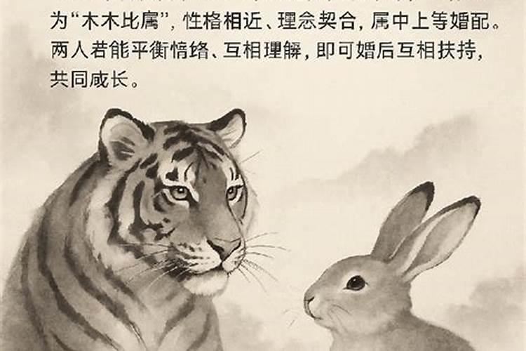 虎男兔女八字合吗？