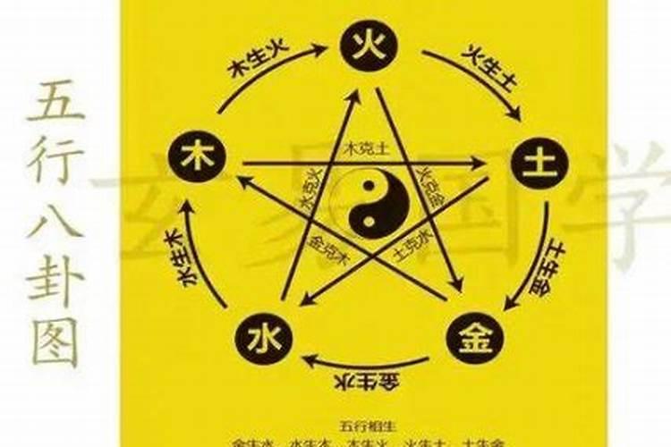 鼠和蛇的八字合吗？
