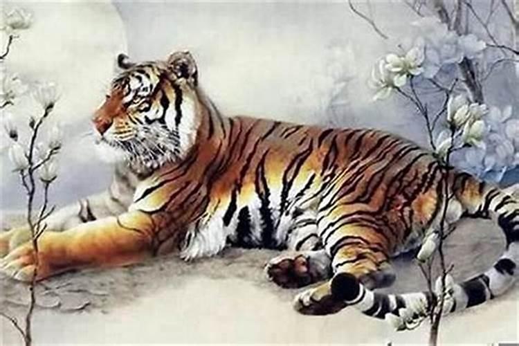 属虎本命年生小孩好不好？