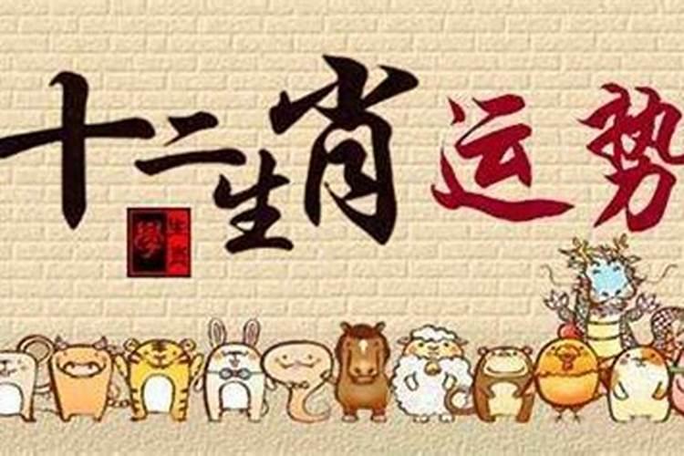 1997年属牛人一生运程