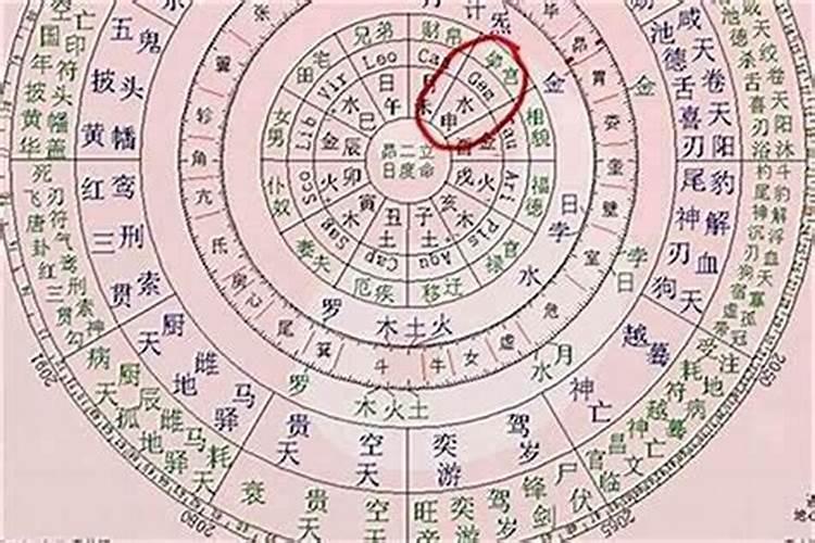明年八字中什么合？