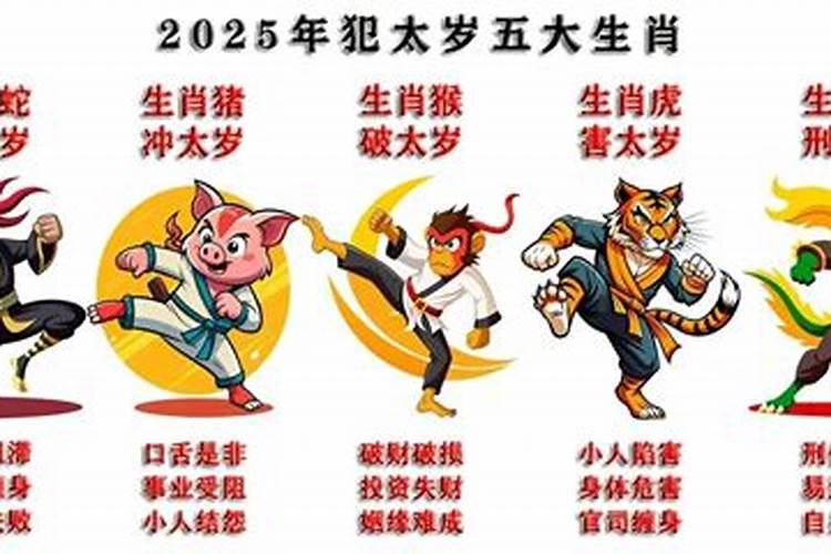 属蛇的到猪年犯太岁吗？
