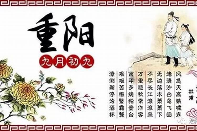 重阳节又称什么节民间有哪些活动？