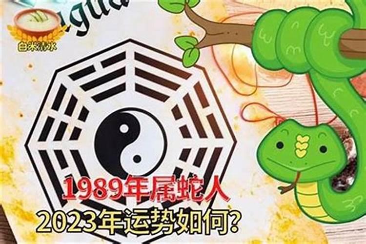 九月十四属蛇一生运势