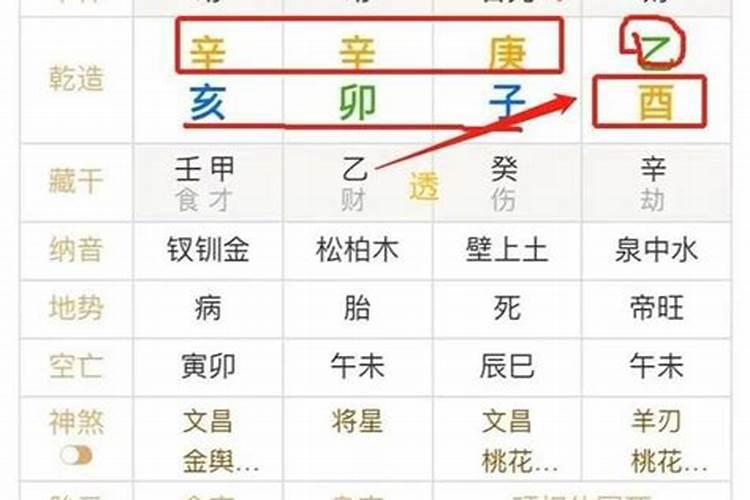 八字星运胎在流年
