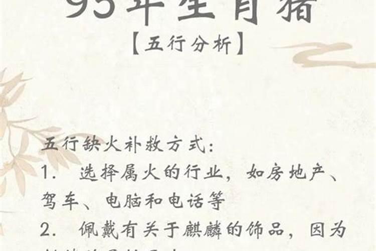 95年猪的运程今年