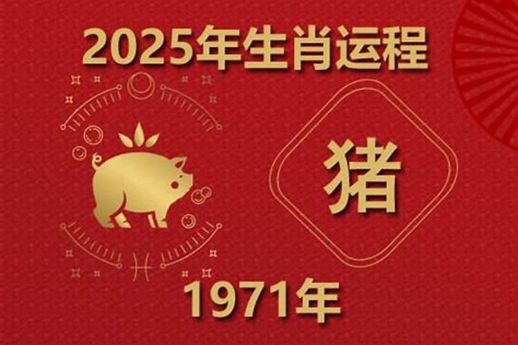 1971年属猪男2026年运势