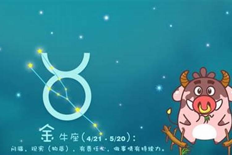 双子座和金牛座