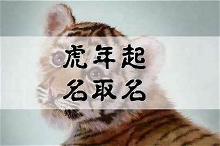 虎年冬至出生小名
