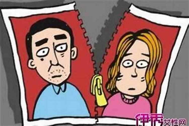 梦见老公前妻回来离婚