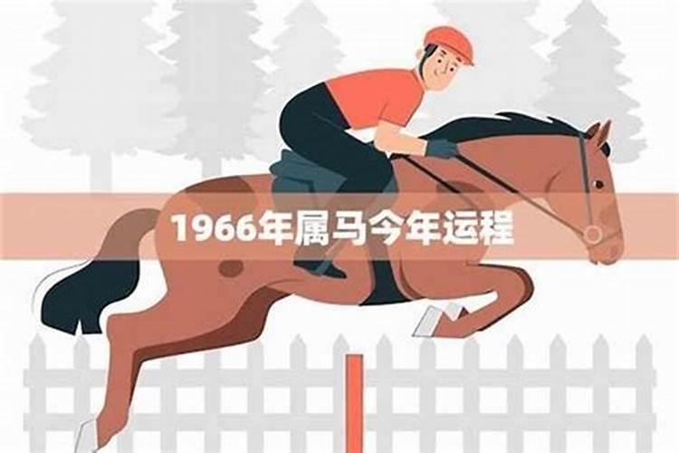 1966年的马今年运势