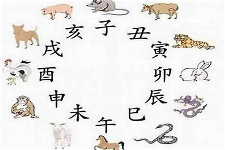 属牛和属猪八字合吗？