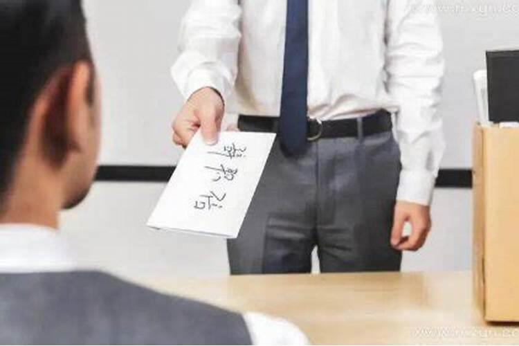梦见同事辞职