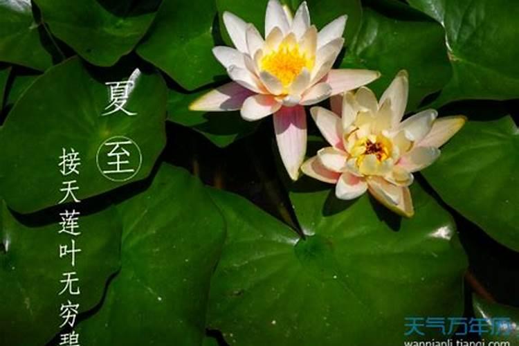 辛丑夏至是哪一天？