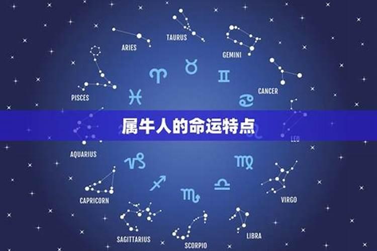 属牛的冬至命运