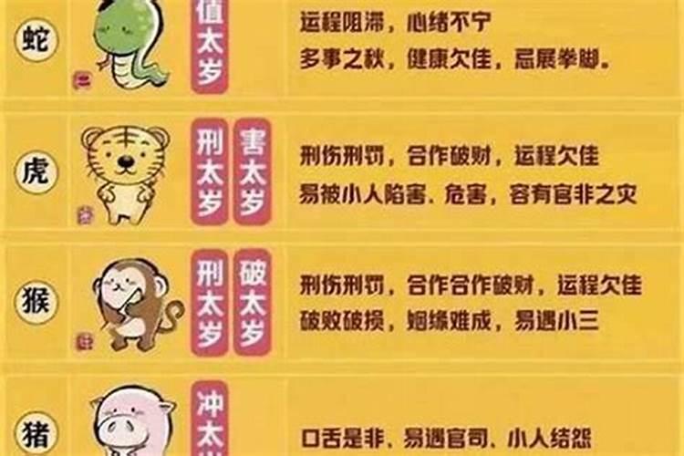 属蛇人今年犯太岁怎么破解？