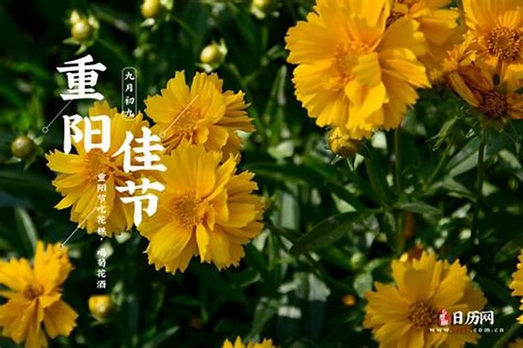 九月初九重阳节今年几号？