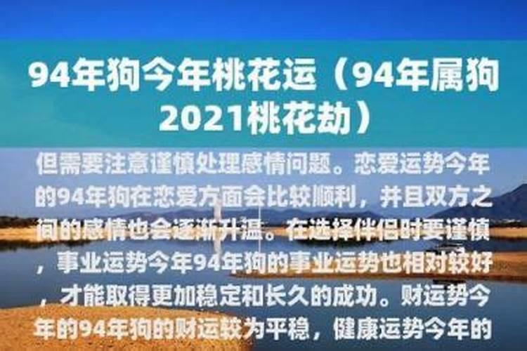 94年男狗2026年的感情运势