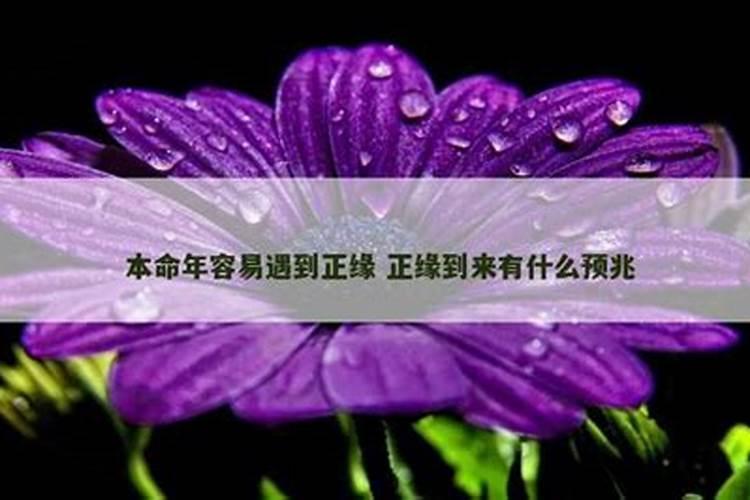 什么梦预兆会有正缘？