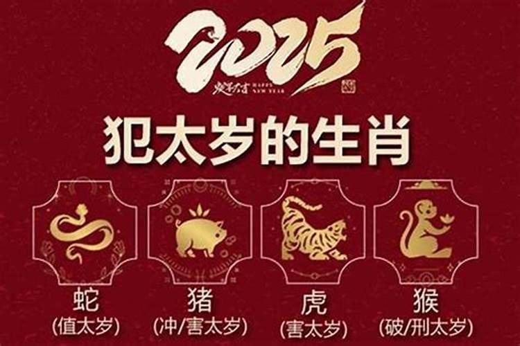 2026年蛇怎么破太岁？