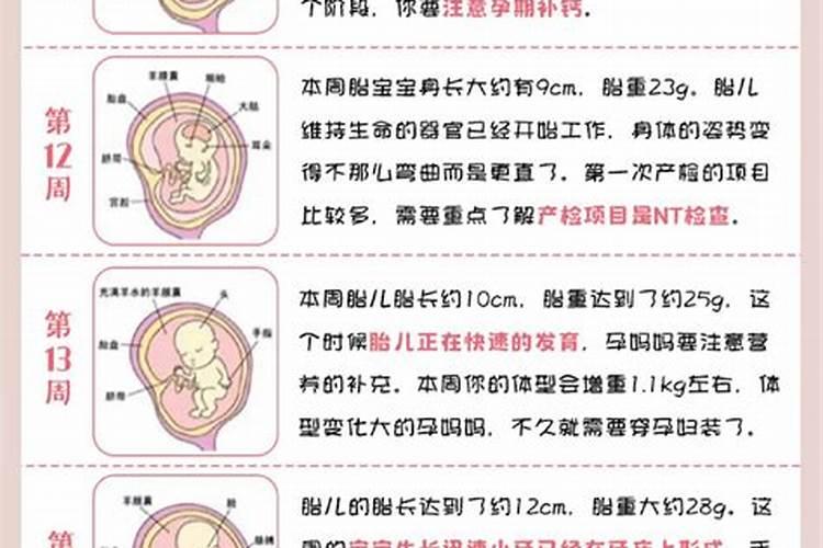流产的胎儿会报仇吗？