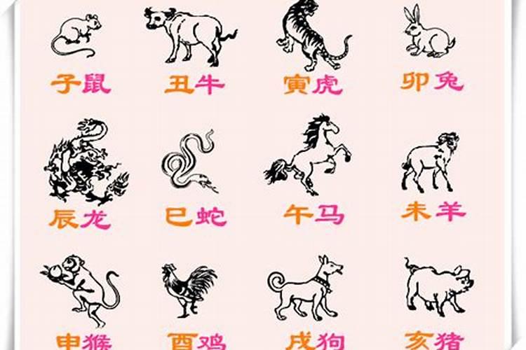 运势红与黒指什么生肖？