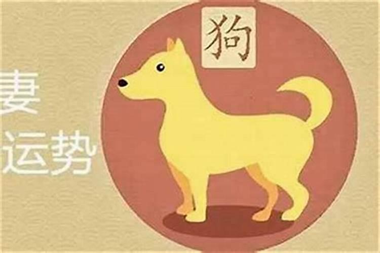 属鸡男与属狗女合婚吗？