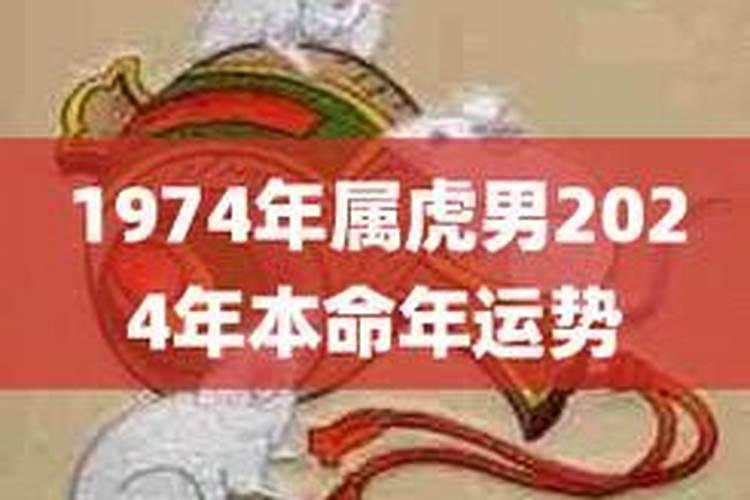 属虎48岁本命年应该买什么？