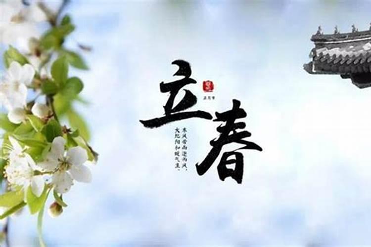 1981年什么时候立春？