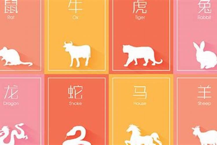 生肖运势是真的吗？