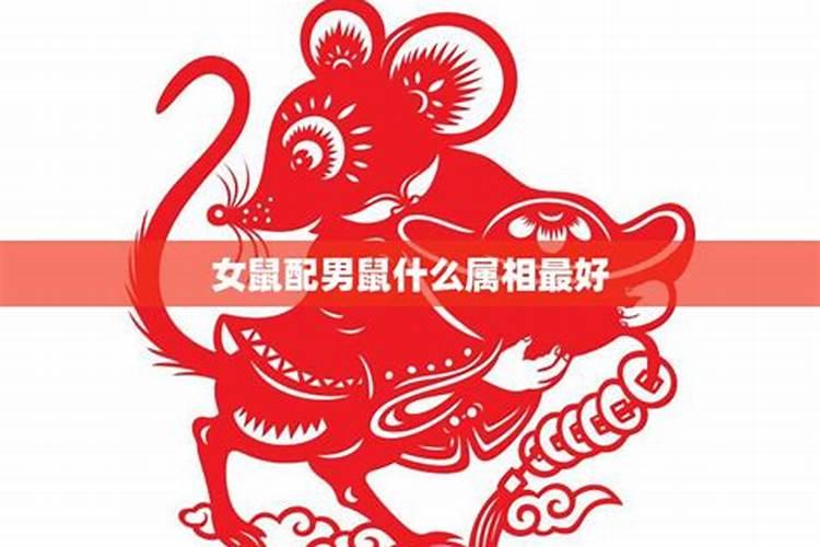 男猴属相和女鼠婚配有什么？