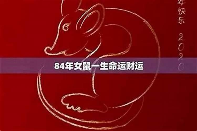 属鼠女2026年运程