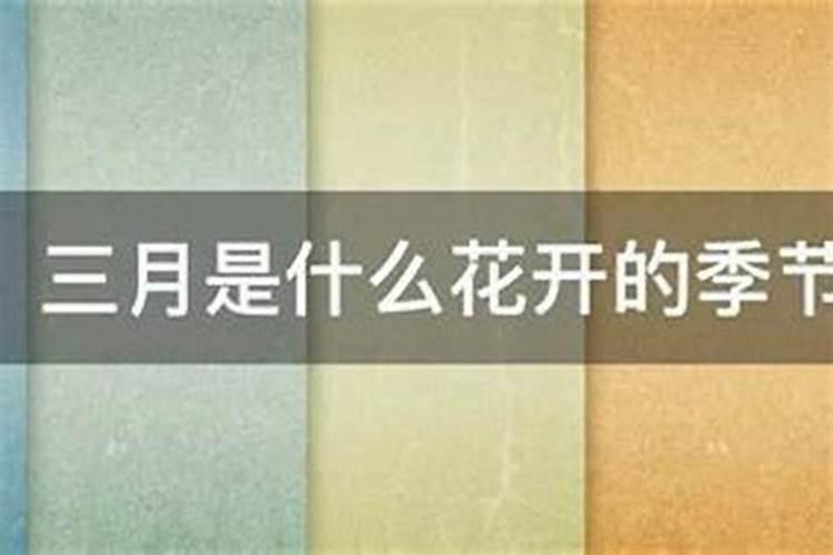 三月十五宜干什么？