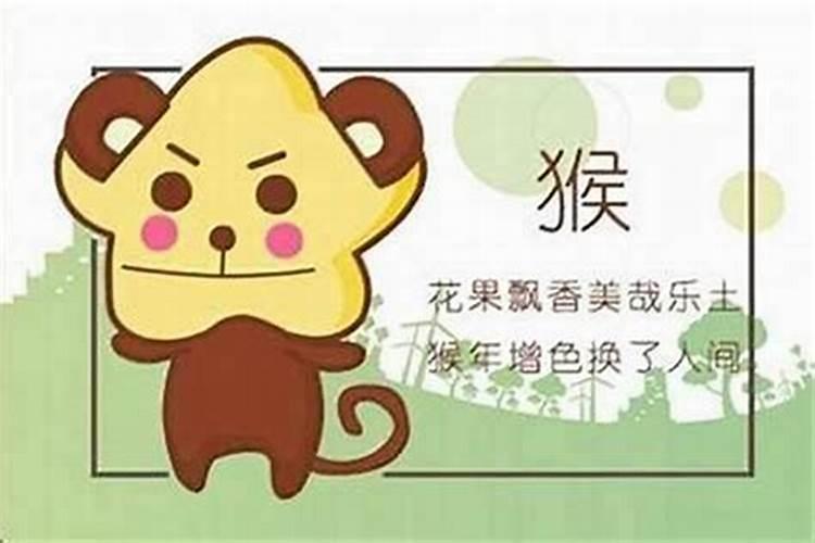 猴和虎配八字合吗？
