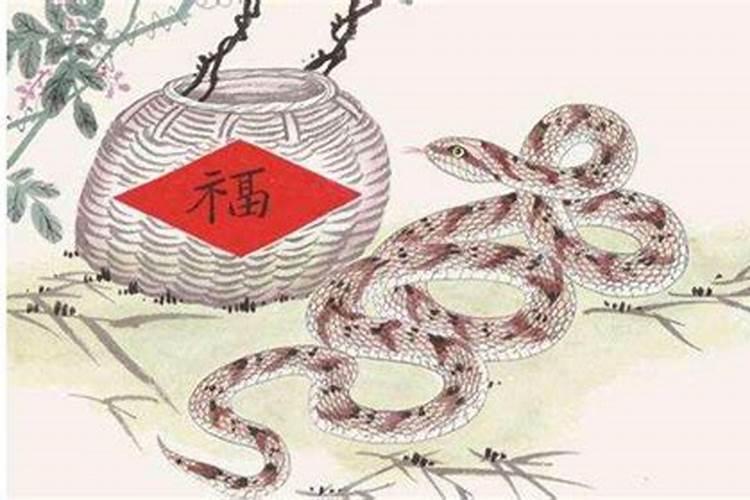 属蛇的犯冲太岁怎么化解？