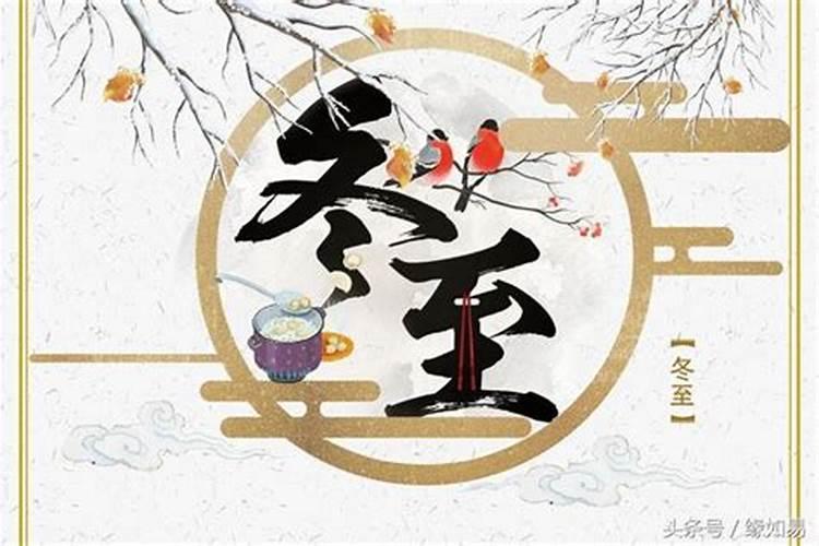 冬至出生的人星座