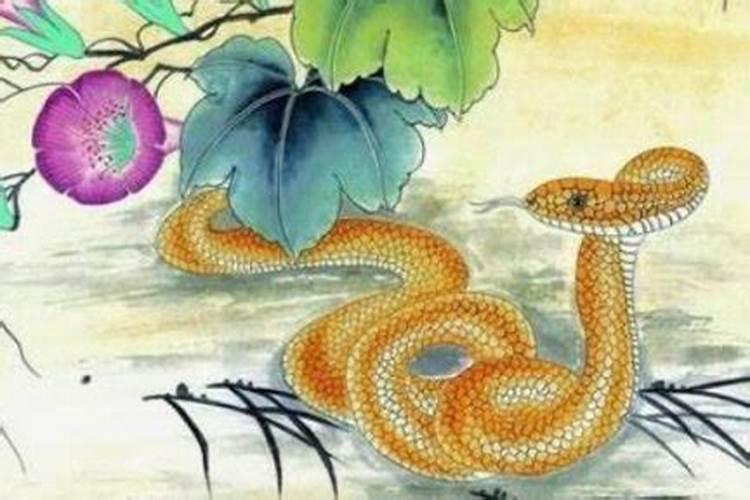 属鸡的与属蛇可以合婚吗？