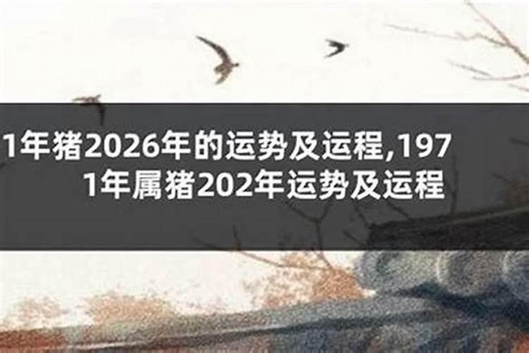 1992年出生的女人2026运程
