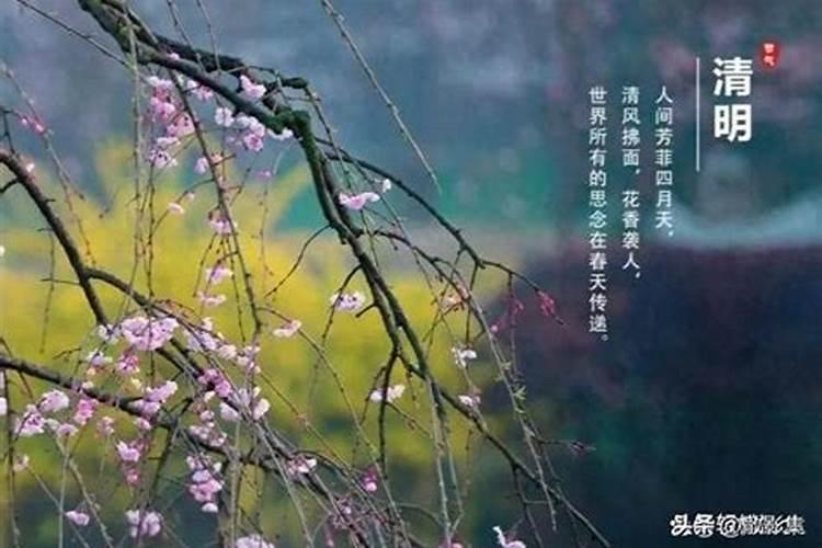 清明节起源于哪朝代？