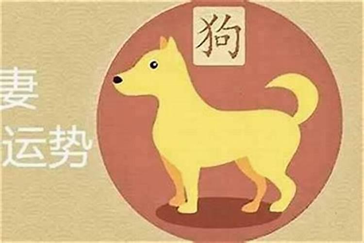 属狗婚配什么属相最配？