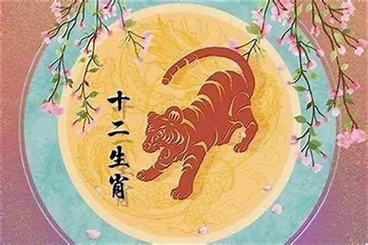 本命年的大忌属牛虎
